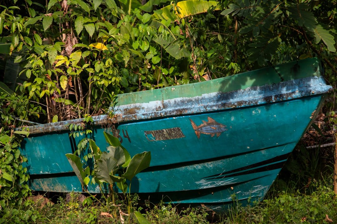 découvrez les différentes facettes de la transformation, qu'elle soit personnelle, professionnelle ou sociétale. explorez les outils et stratégies pour amorcer un changement positif et durable dans votre vie.